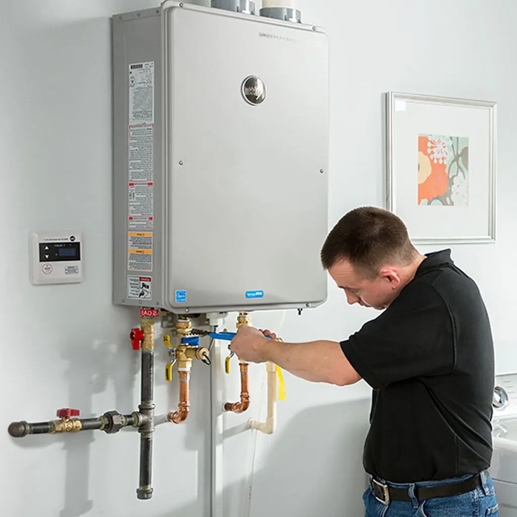 tankless water heater repair in Cross timbers, MO